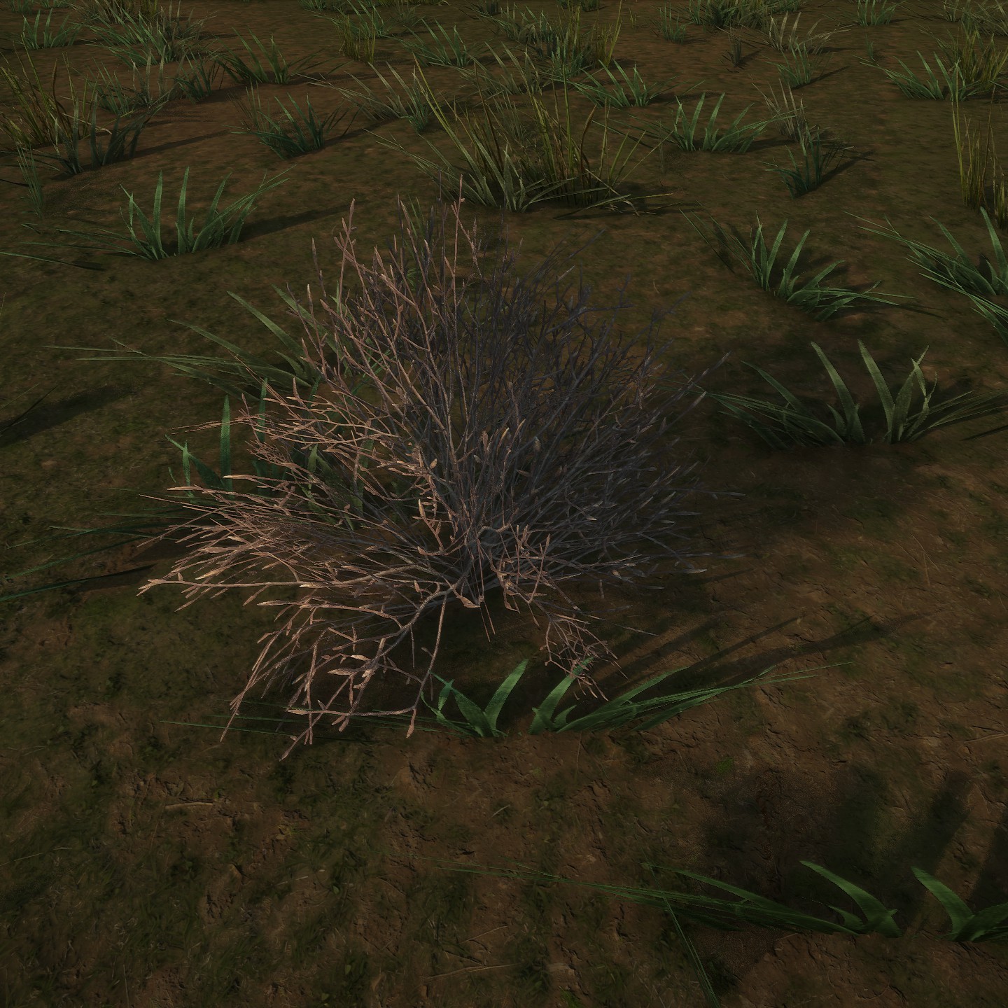 Azalea Dead1 Large.jpg