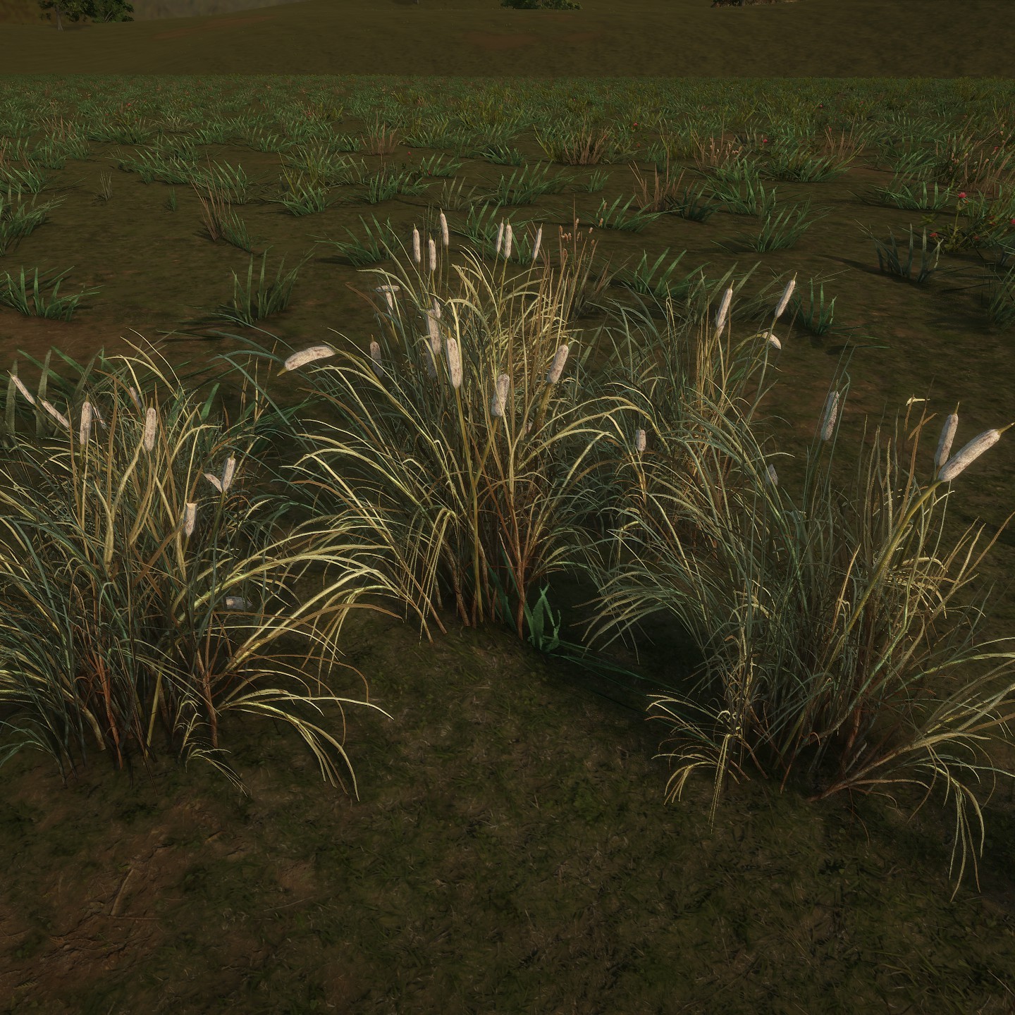 Cattail_Desktop_Cluster_Winter