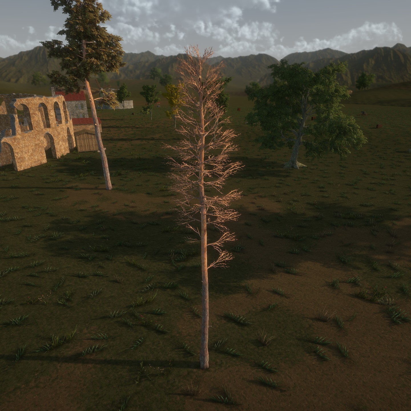 ScotsPine_Desktop_Bare