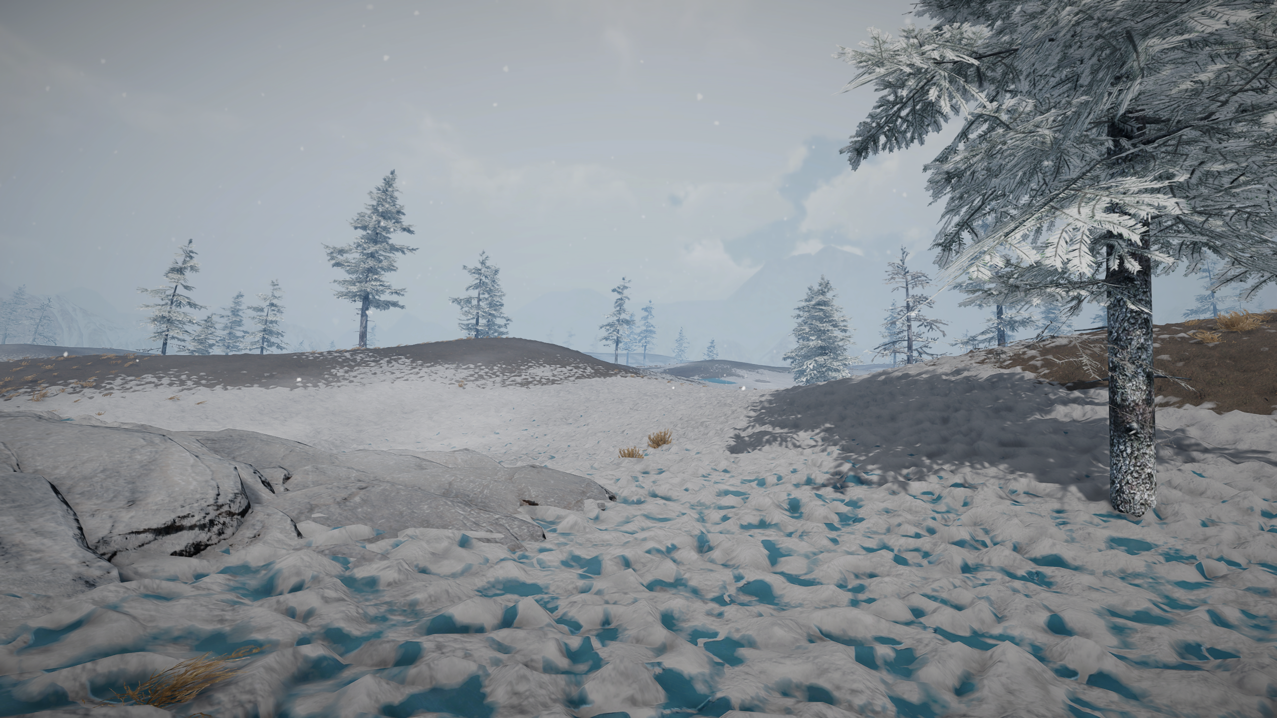 Snowyplainssmall loadingscreen.png