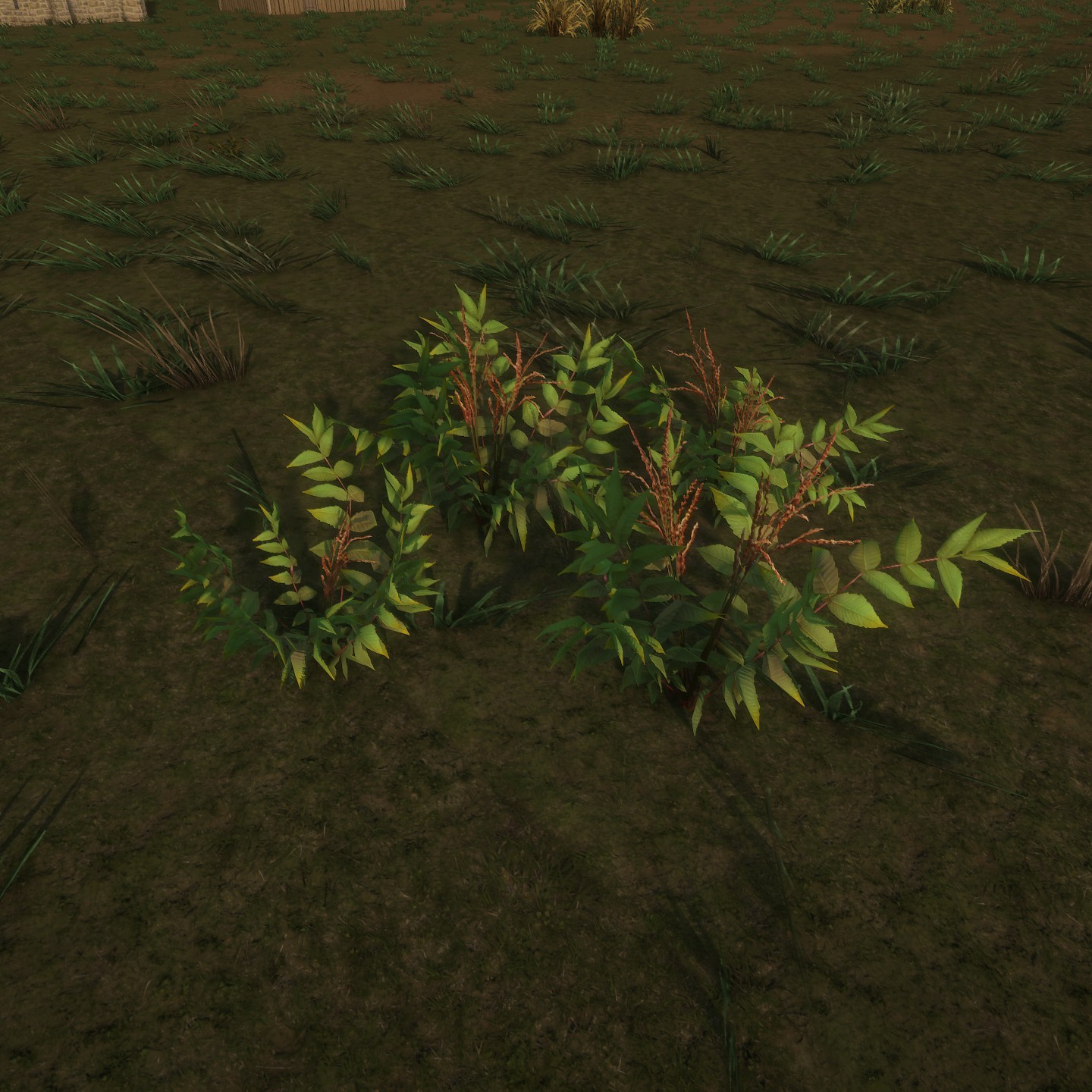 FalseSpirea_Cluster_Low