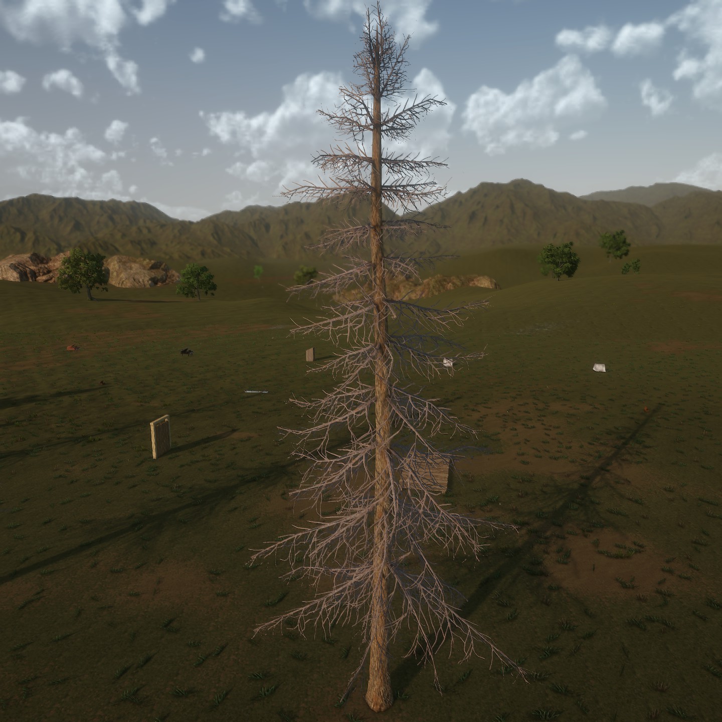 AlaskaCedar Desktop Bare Large.jpg