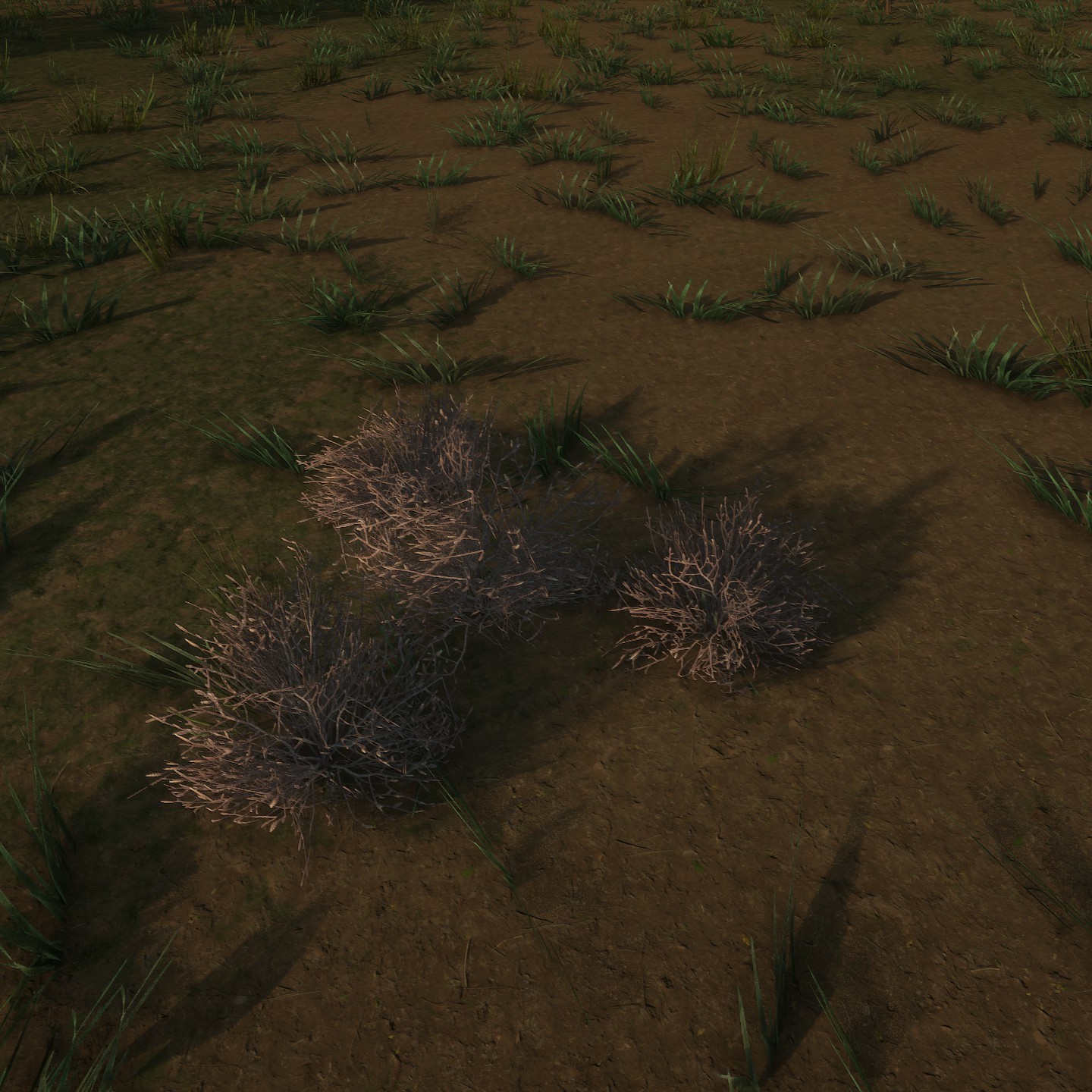 AzaleaPatch Dead1 Large.jpg