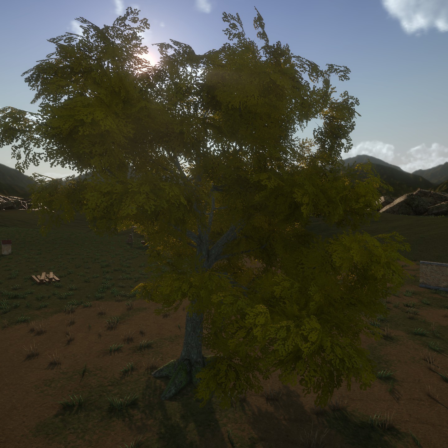 White_Oak_Desktop2_LightYellow