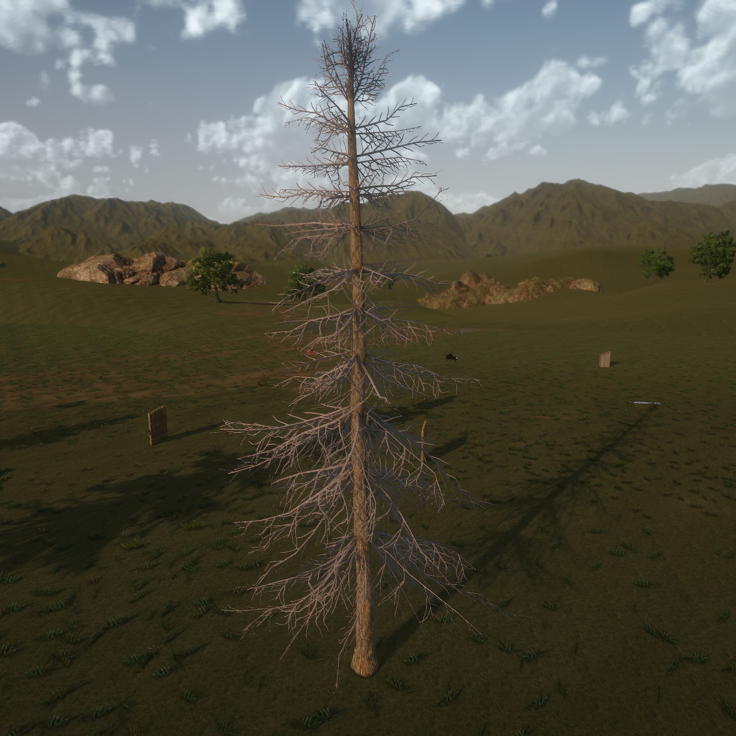 AlaskaCedar Desktop Bare2 Large.jpg