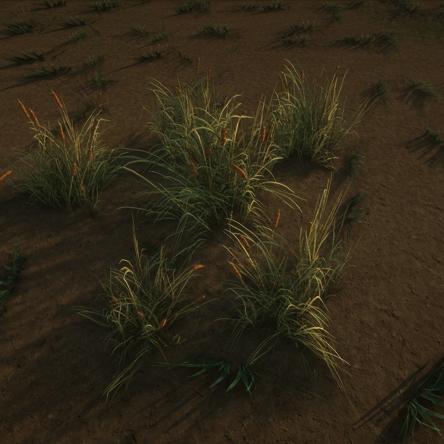 Cattail_Desktop_Cluster