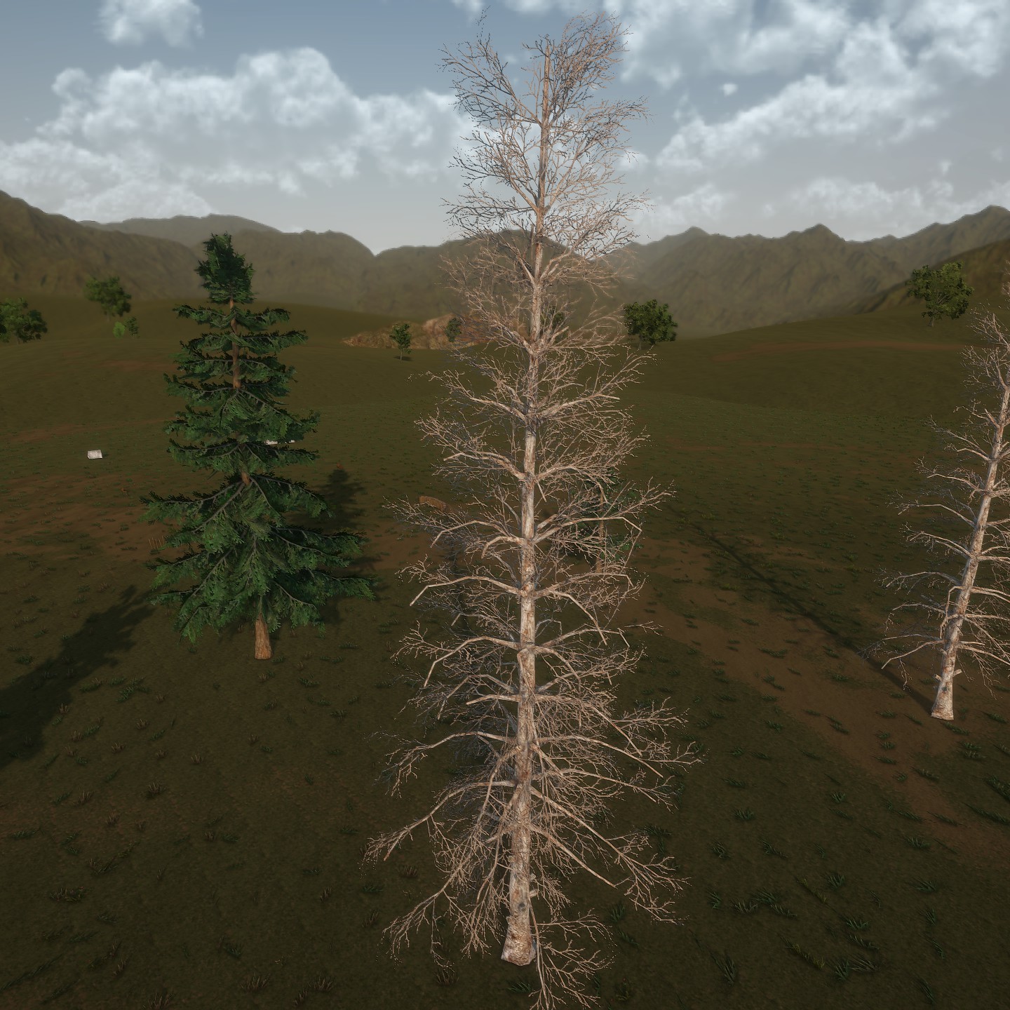 Blue_Spruce_Desktop_Bare2