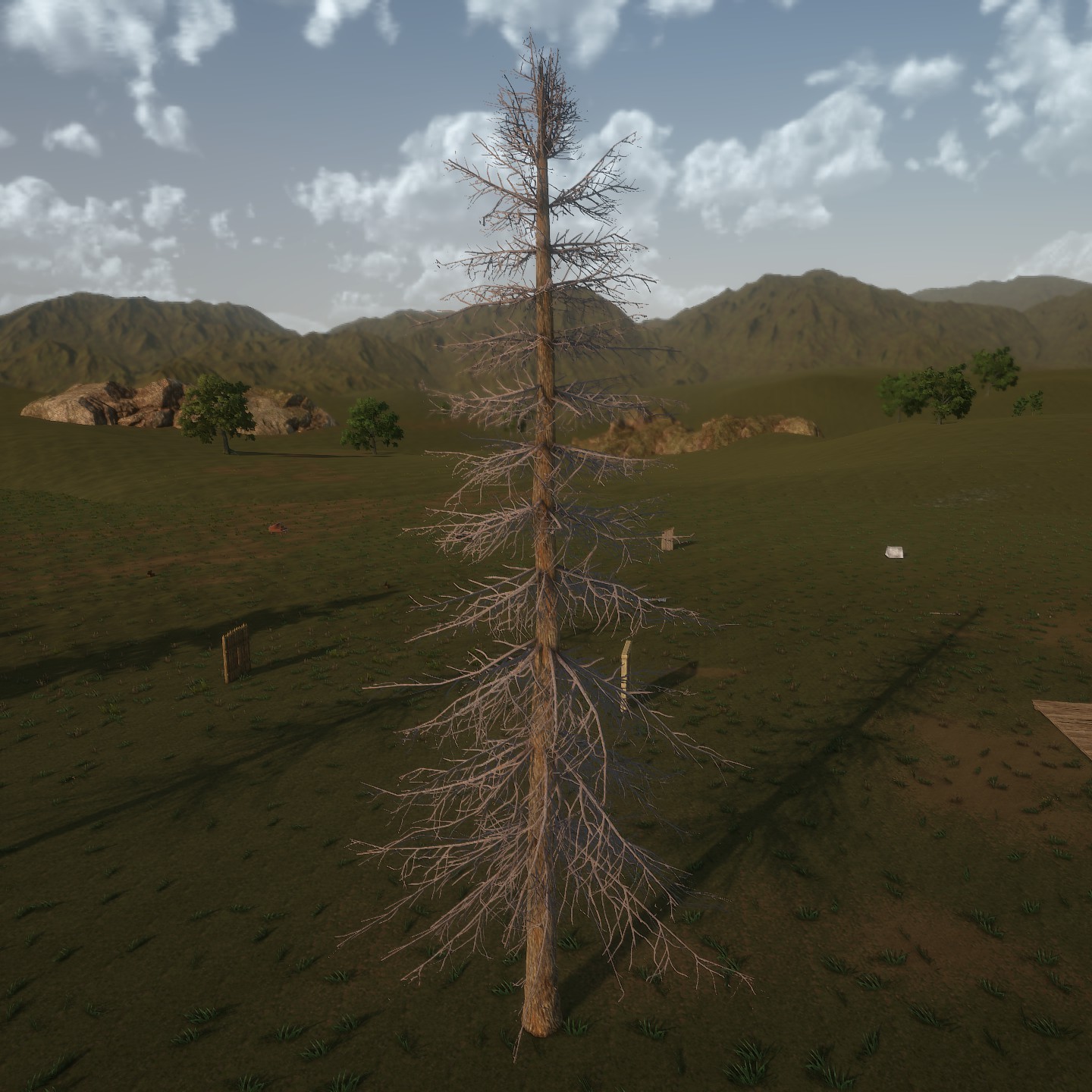 AlaskaCedar Desktop Bare3 Large.jpg