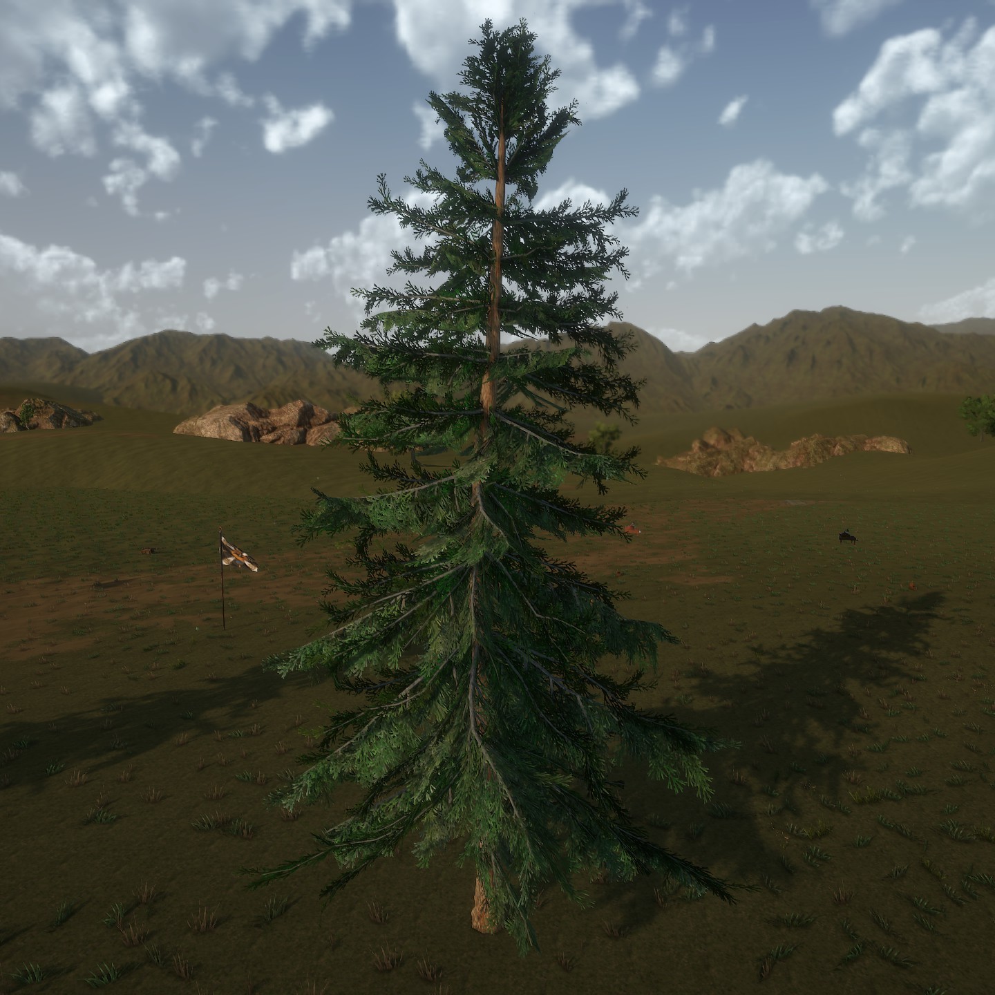 AlaskaCedar Desktop3 Large.jpg