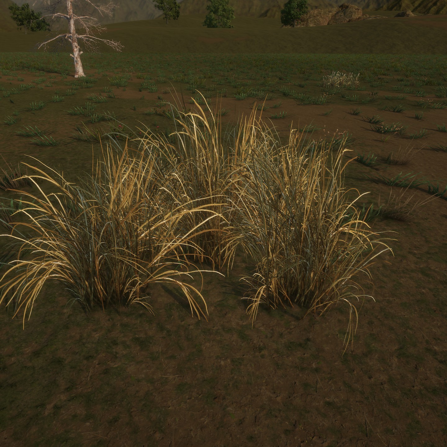 Cattail_Desktop_Cluster_WinterV4