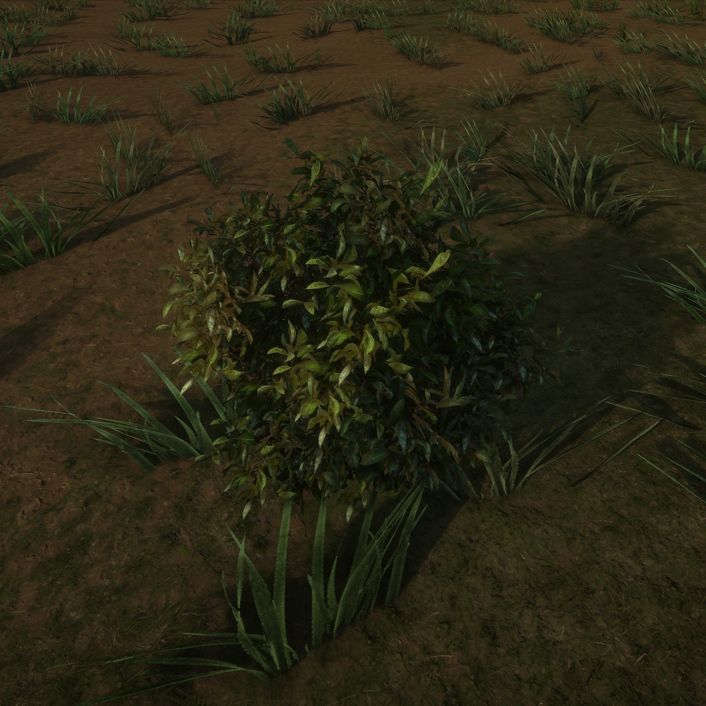 AzaleaPatch Low Large.jpg