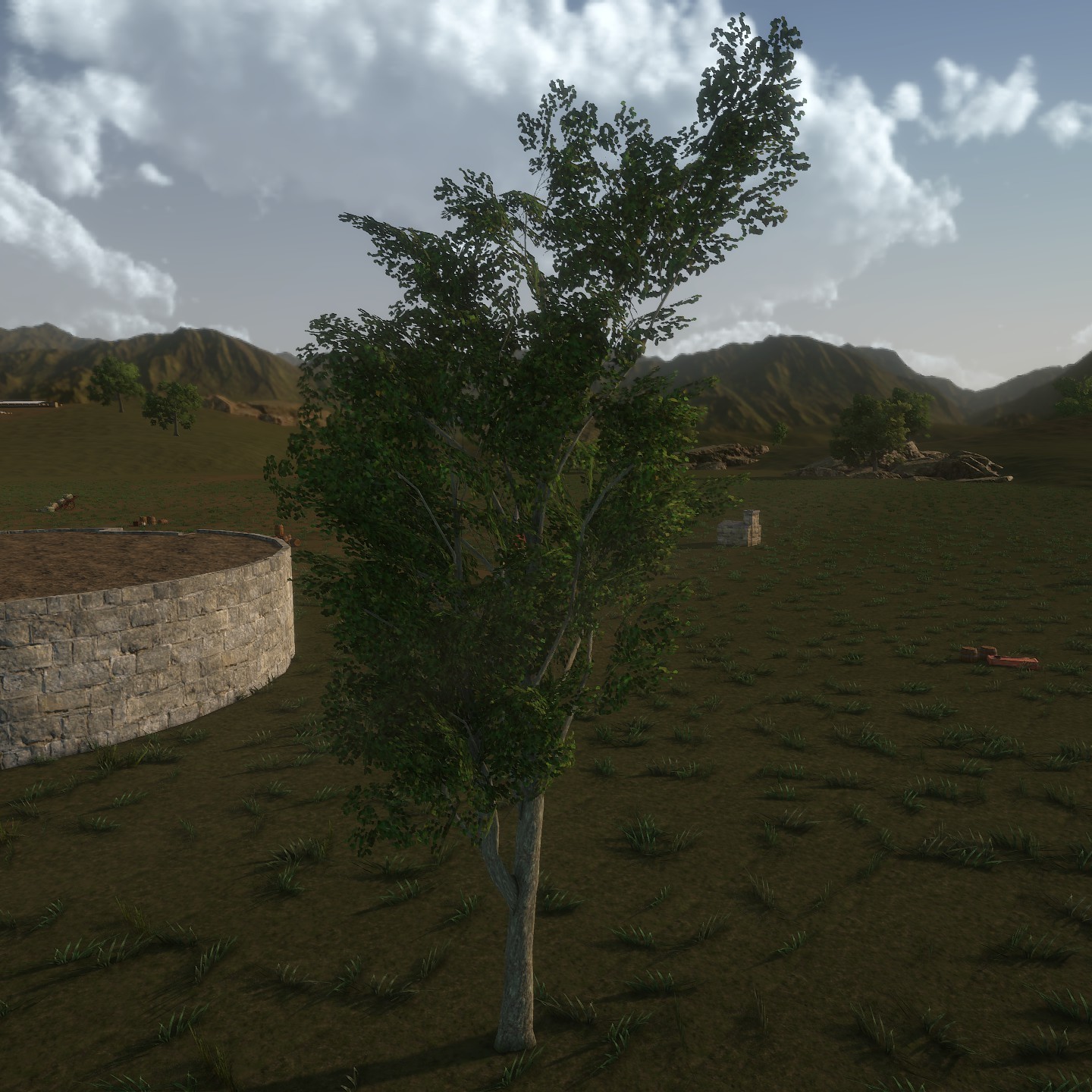 White_Oak_Desktop_Young