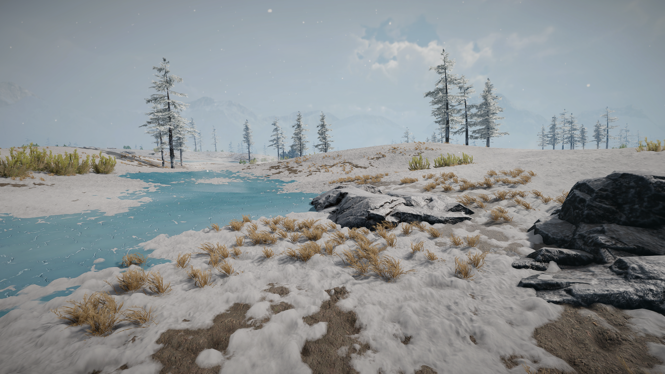 Fausbergforest loadingscreen.png