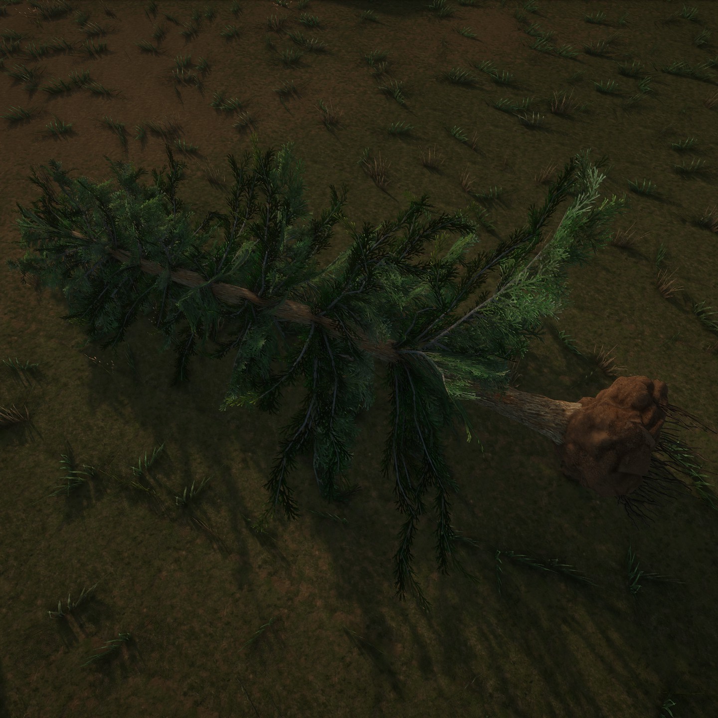 AlaskaCedar Desktop Broken Large.jpg