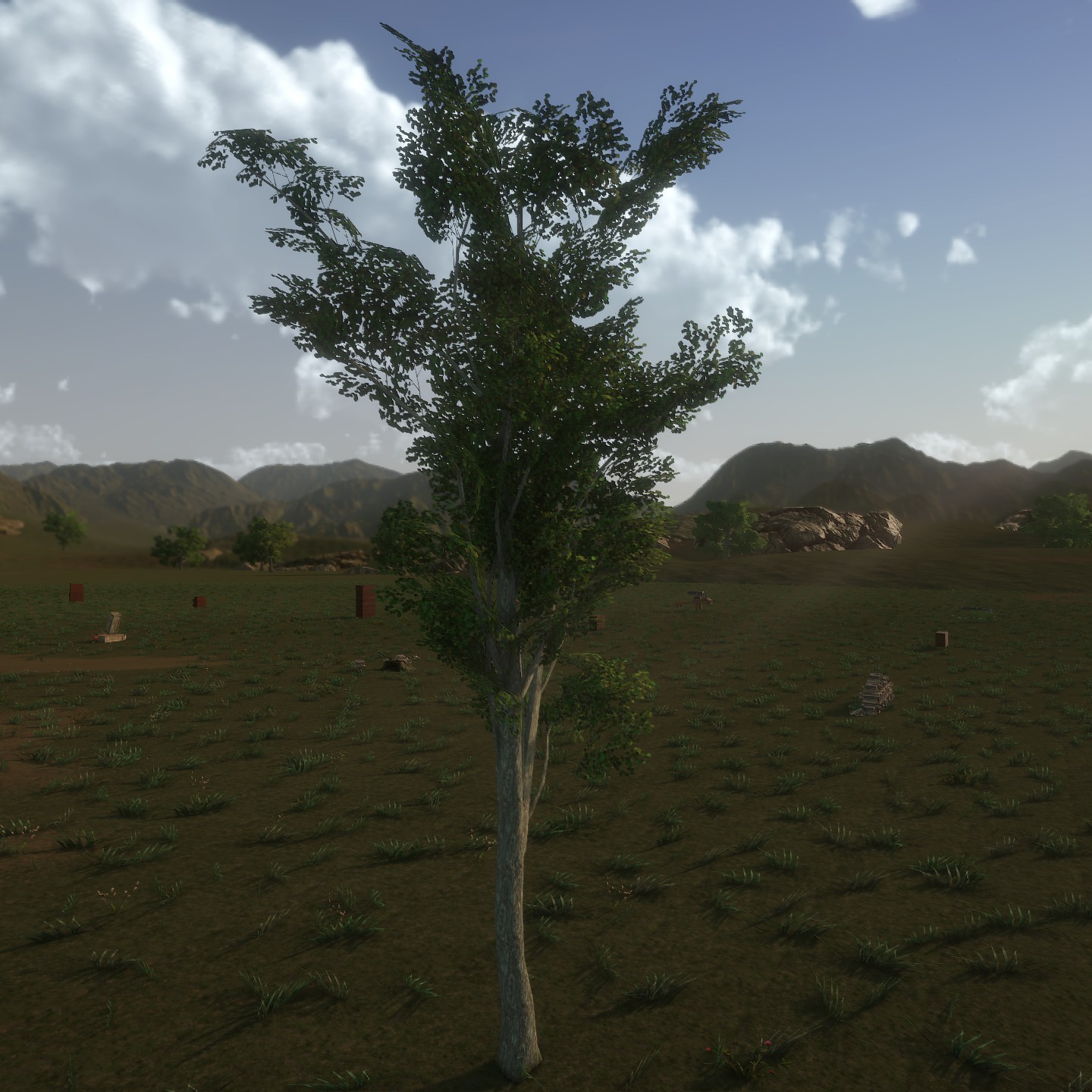 White_Oak_Desktop_Young2