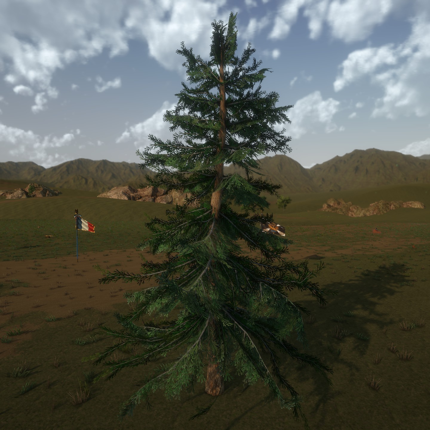 AlaskaCedar Desktop2 Large.jpg