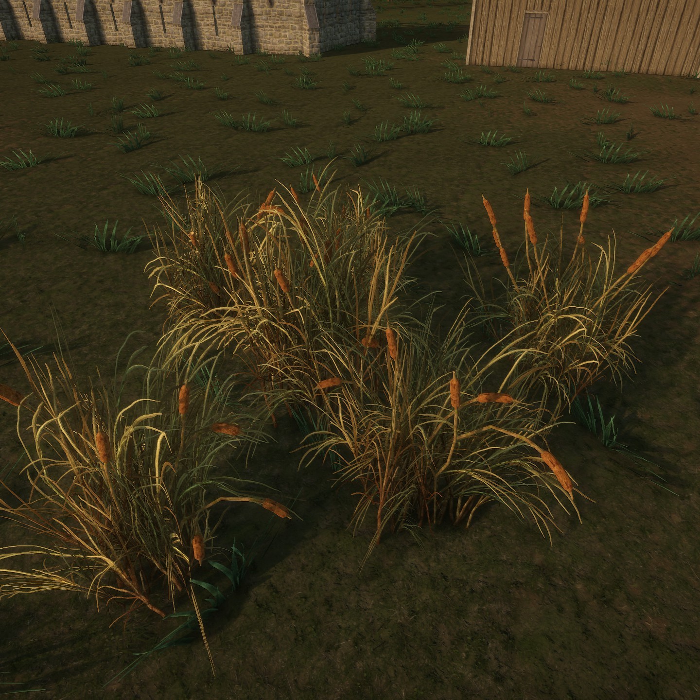 Cattail_Desktop_Cluster_Full