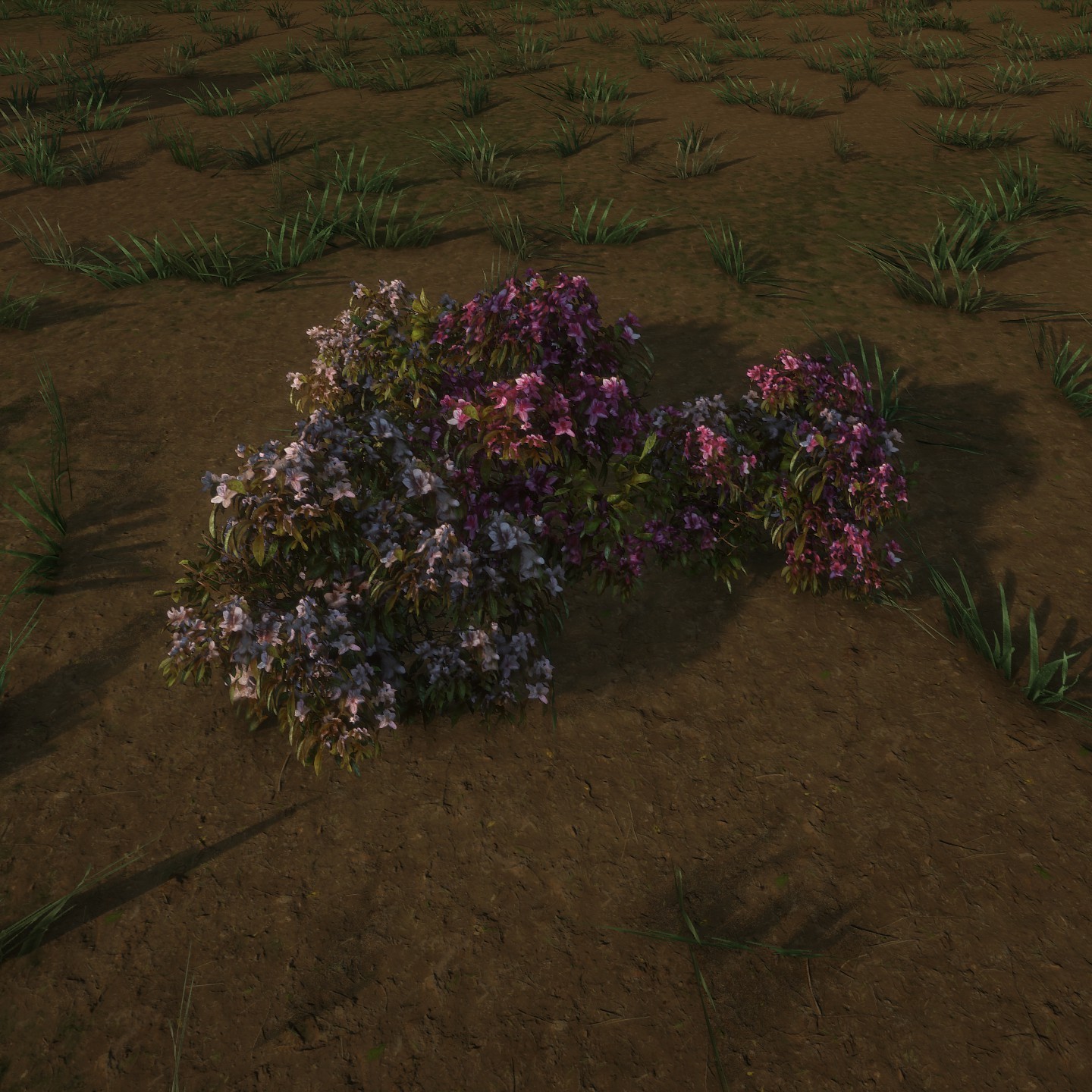 AzaleaPatch Flowers Low Large.jpg