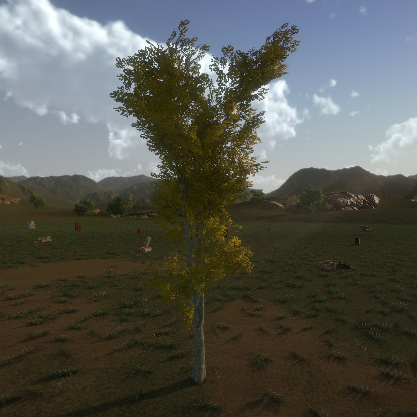 White_Oak_Desktop_Young3_LightYellow