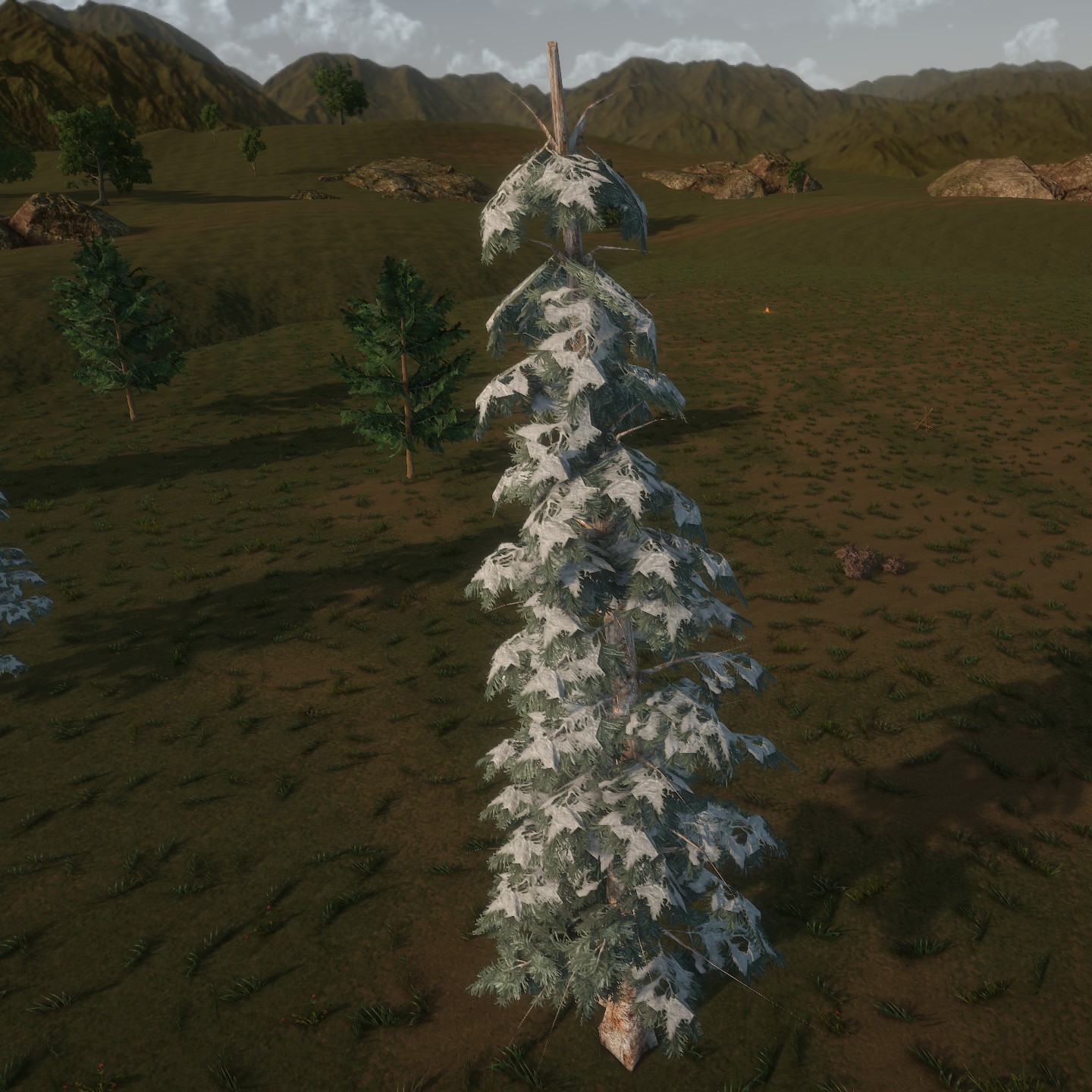 Blue_Spruce_Desktop_Winter3