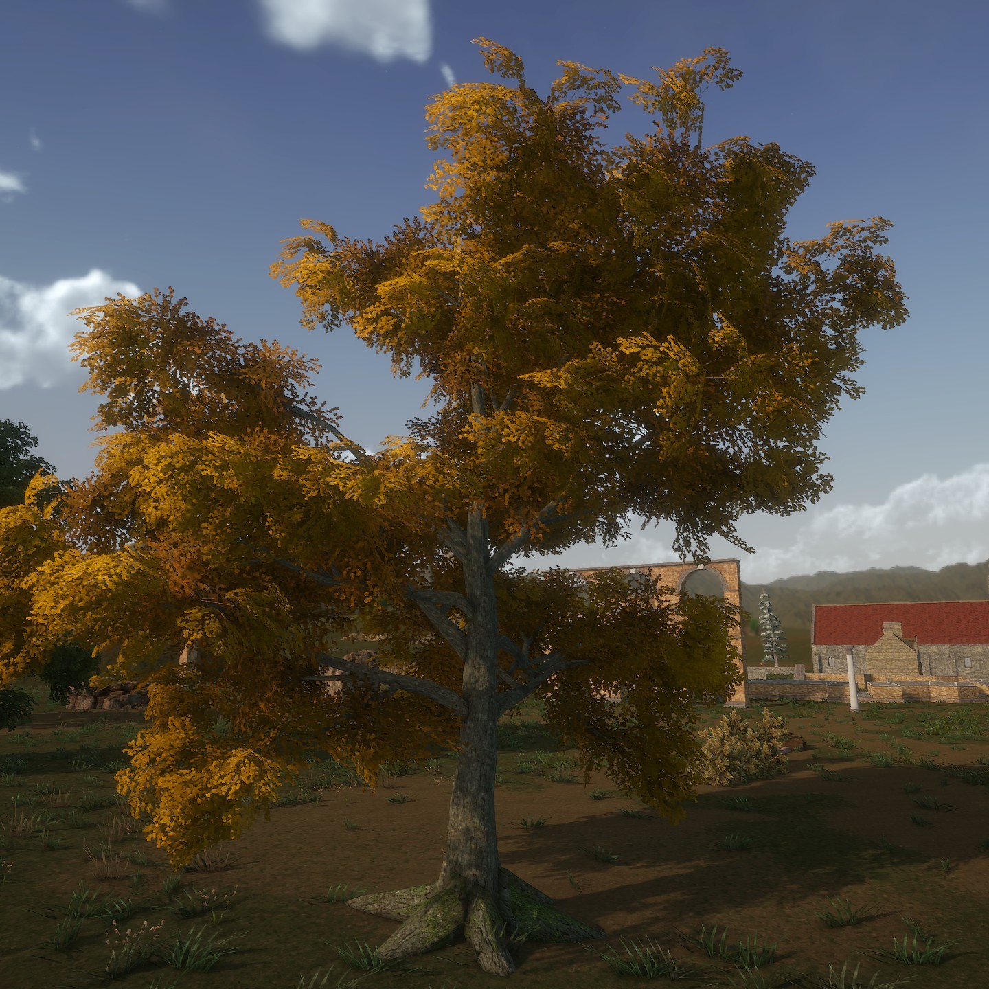 White_Oak_Desktop2_Yellow