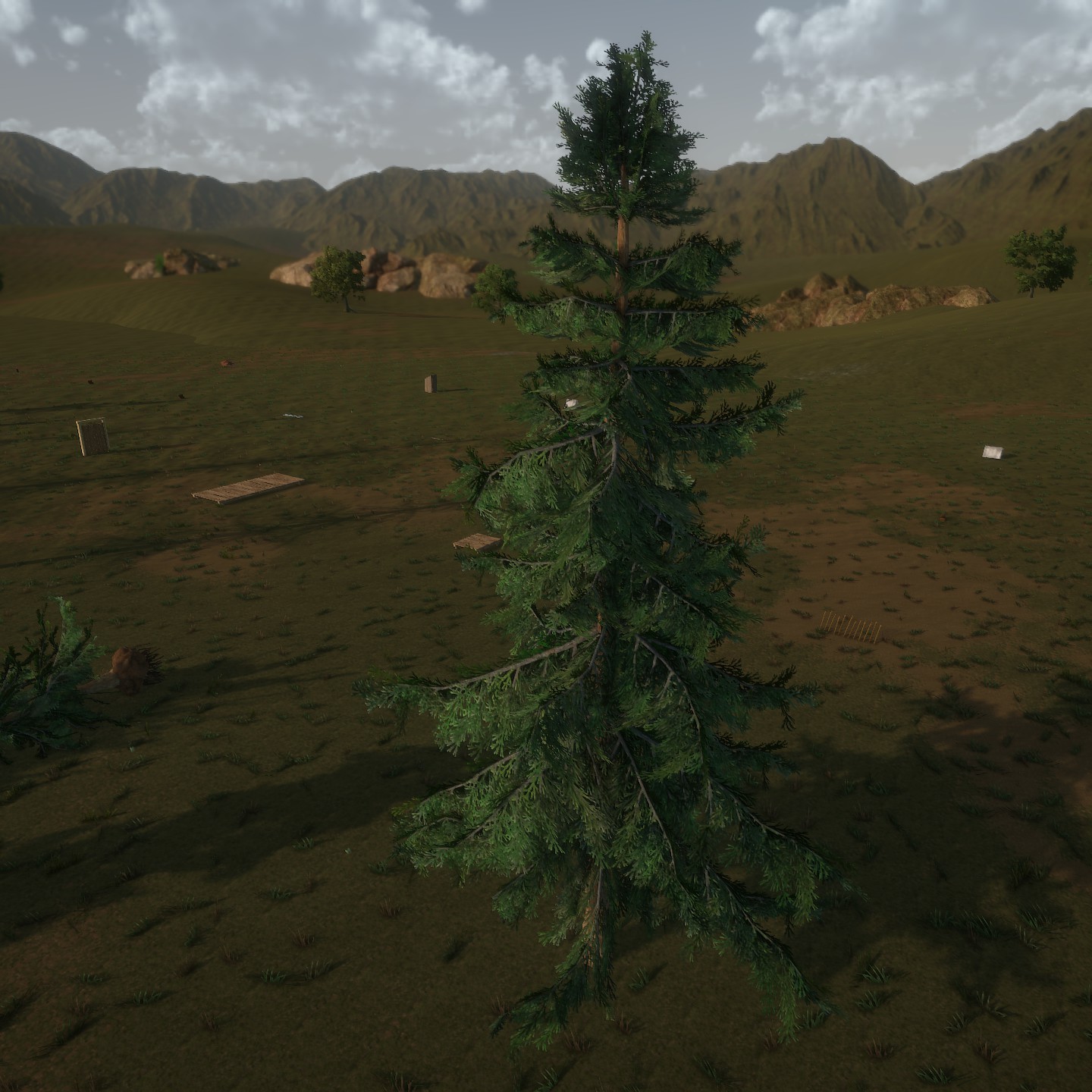 AlaskaCedar Desktop Large.jpg