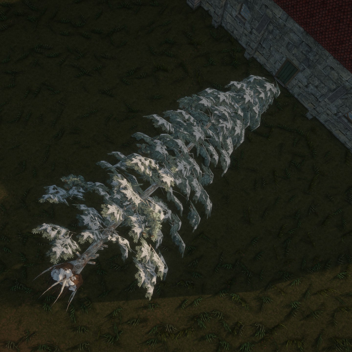 Blue_Spruce_Desktop_Winter_Broken1