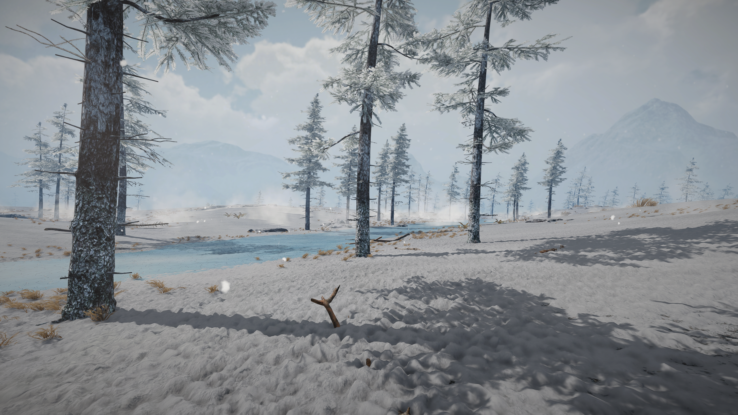 SnowyplainsII loadingscreen.png